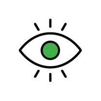 Vision Icon