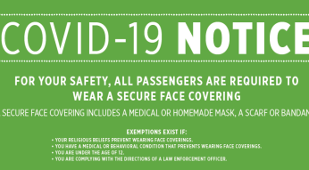 pandemic masks