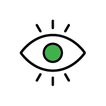 Vision Icon